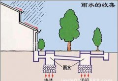 初期雨水收集為什么這么重要？